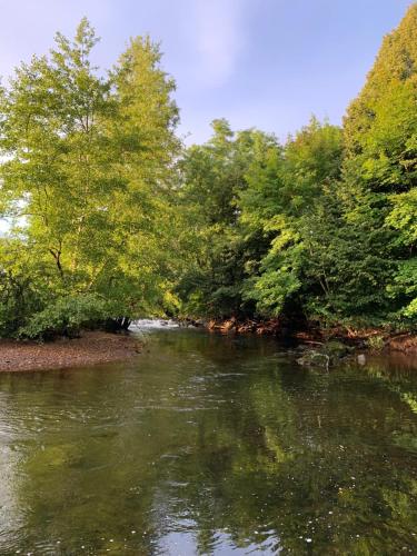 Les Jardins d'Élise, calme et verdure à Lure