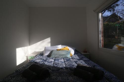 One-Bedroom Apartment image 6