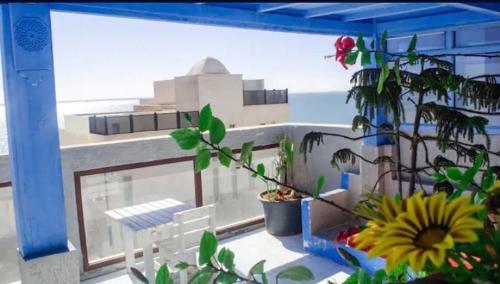 Dream Sea Hostel