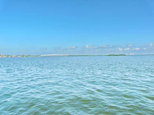 449 Pepperwood Court Marco Island