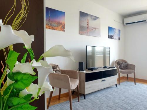 Apartment Alita - image 14