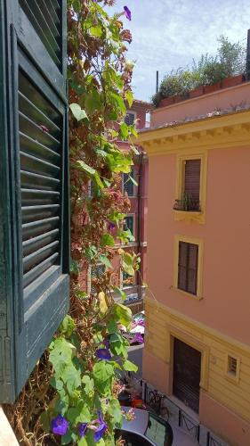 Saint Peter Elegance Domus, Roma (foto 2)