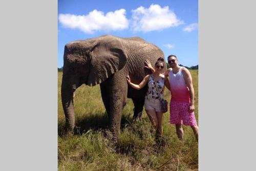 Knysna Lodge - Entire Cabin Self Catering