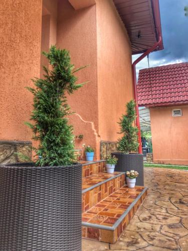 Casa Andra