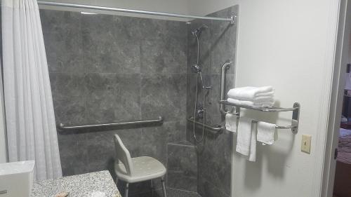 Sylvania Inn-Sylvania,Statesboro, GA-Georgia Southern Univ GSU - 화장실