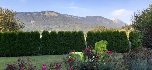 Apartmaji Mojca 5