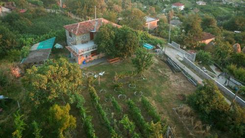 The house in the village The house in the village