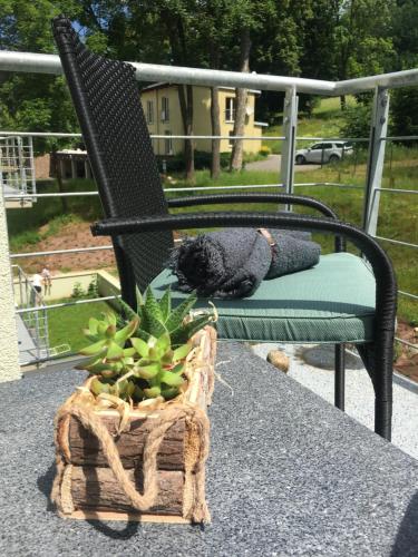 Apartmány Trio Horní Maršov (Apartmany Trio Horni Marsov) in 賀爾尼馬爾索夫