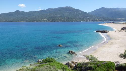Marina di fiori - image 7