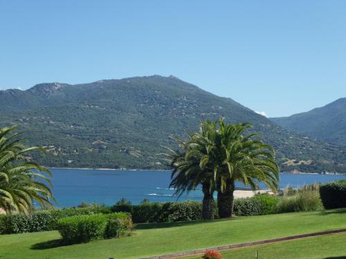 Marina di fiori - image 4