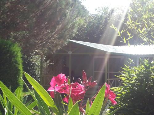 Camping Les Sources - image 11