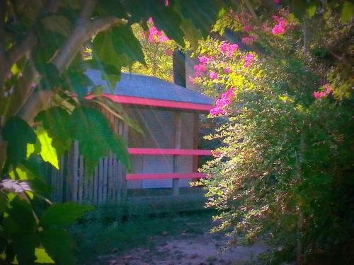 Camping Les Sources - image 10