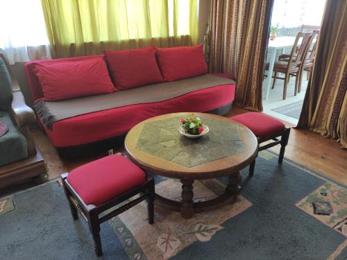Apartman Đorđević - Location saisonnière - Sokobanja