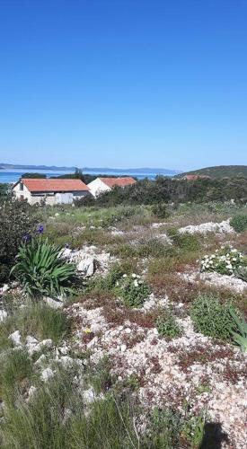  Robinson home in Pašman with Seaview, Terrace (4654-1) in Pašman