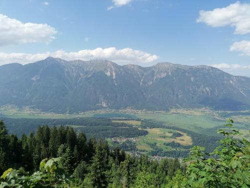 A szálláshely kívülről, Haus Oswald am See in Passriach