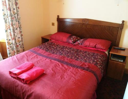 Bellevue Guest House - image 4