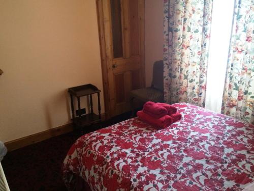 Bellevue Guest House, Edimburgo (foto 6)