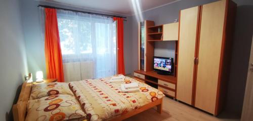 B&B Sovata - Sandra Apartman - Bed and Breakfast Sovata