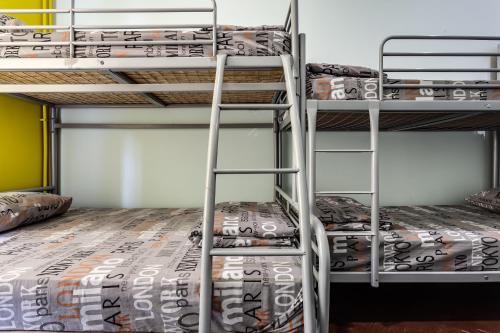 Mister Hostel - image 5