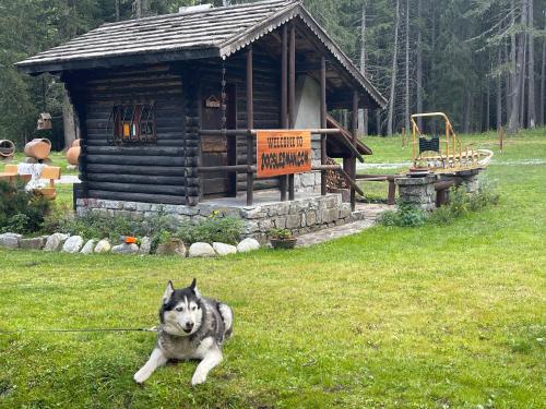 WildHomes Wild Wolf Lodge - image 14