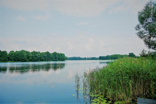 Siedlisko pod świerkami-Twój własny kawałek raju Siedlisko pod świerkami-Twój własny kawałek raju