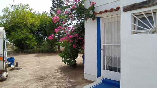  Finca la Joya in Torreblanca