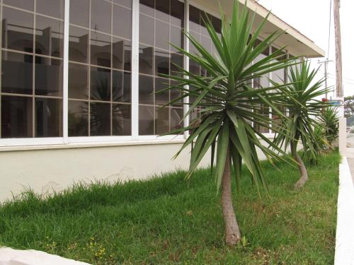 Saint Amon Faliraki Hotel