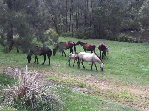 Emu Creek Retreat