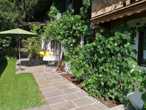 Oberholzer Landhaus & Appartement
