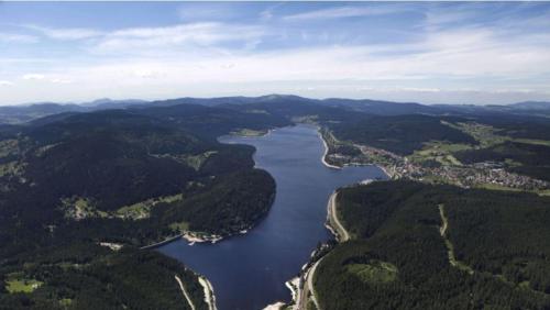Schwarzwaldmarie Ferienwohnung in Loffingen