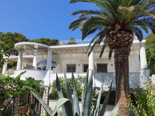 Hotel Nautilus Hotel de charme Marina del Cantone