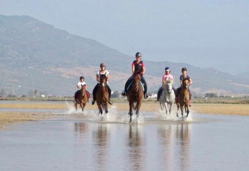 LO CLAUSTRE DEL DELTA- LUX FINCA in Delta del Ebro - FINCA PRIVADA -NO HAY NINGUN SERVICIO HOTELERIA- SOLO ALOJAMIENTO