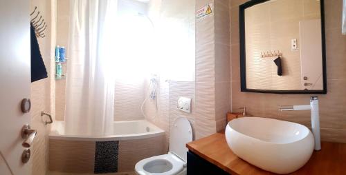 Crater Zen in 米茨佩拉蒙