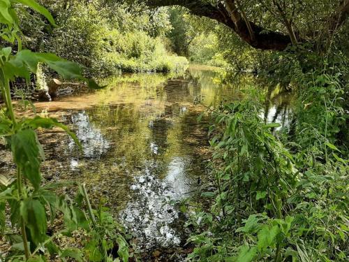 Rose Cottage gîte à louer Tarring