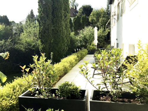 Business Apartment TUSCANY mit großer Gartenterrasse