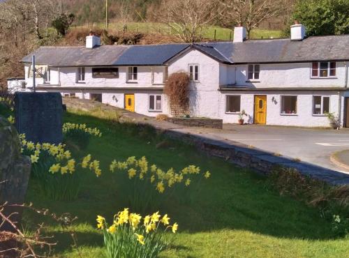 Pen-Y-Bont Hotel - image 2