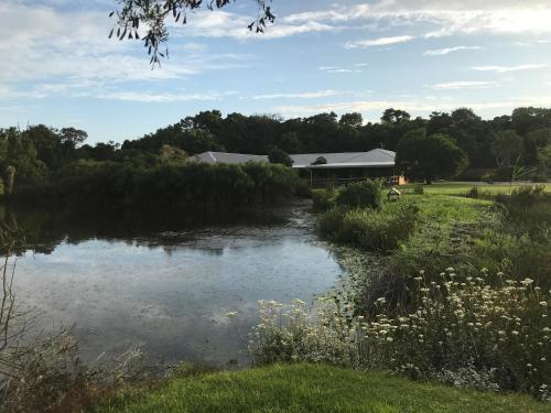 Tenikwa Wildlife Centre Plettenberg Bay