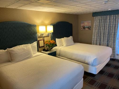 Premium Queen Room