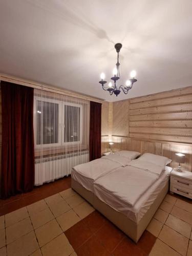 Studio with Sofa Bed image 1