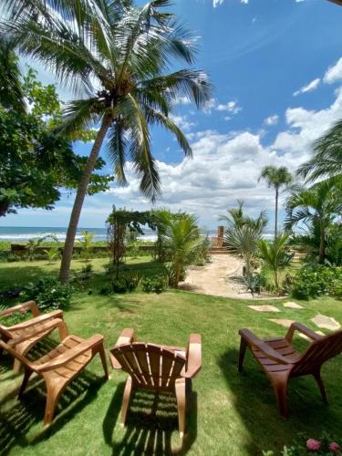 Dārzs, Alive Beach House in El Transito
