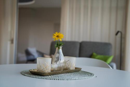 Zilli Studio Apartments