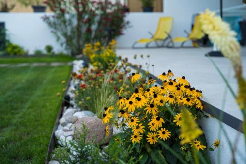 Zilli Studio Apartments