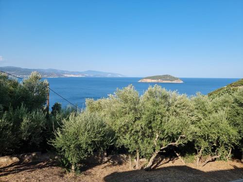 Maria Olive and Sea Villa