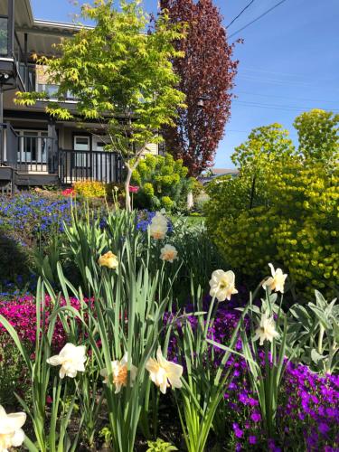 Lovely J Home -Stunning river view cozy two bedroom private suite in New Westminster, Kanada