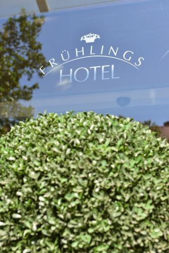 Foto - Frühlings-Hotel