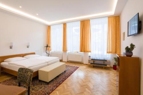 Luxusní velký apartmán s terasou v centru Litomyšle - Apartment - Litomyšl