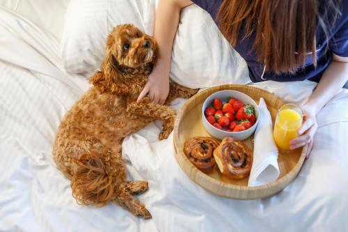 Quest Robina in Robina