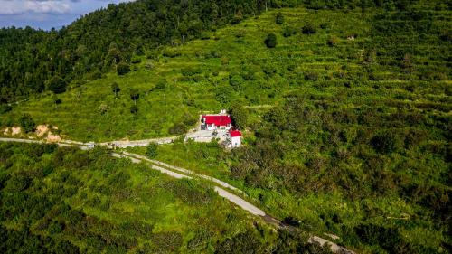 . Sequoia Cottage