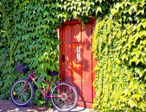  Casa Jardín El Arco in Coca