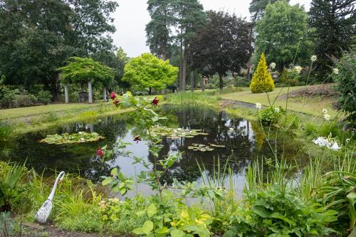 zahrada, Pinecroft Barn - Relax & Unwind! in Storrington